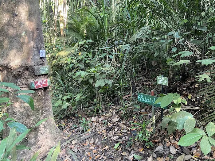 Pulai Trail Picture 8
