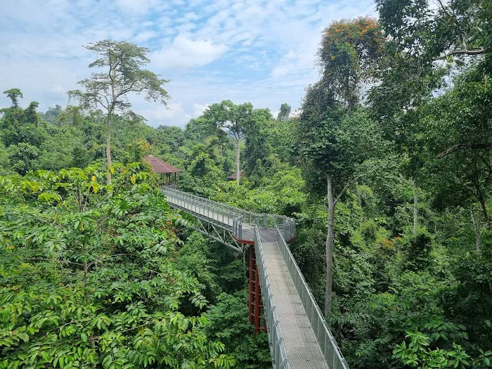 Tree Top Walk Picture 6