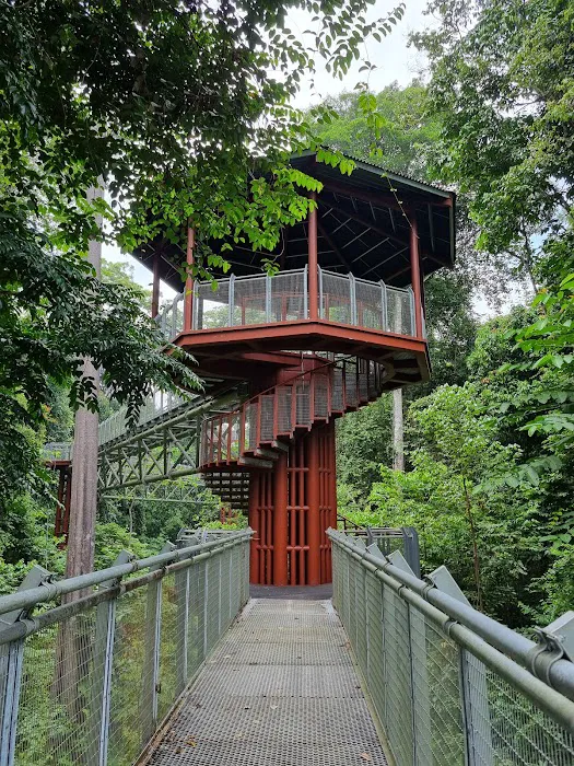 Tree Top Walk Picture 5