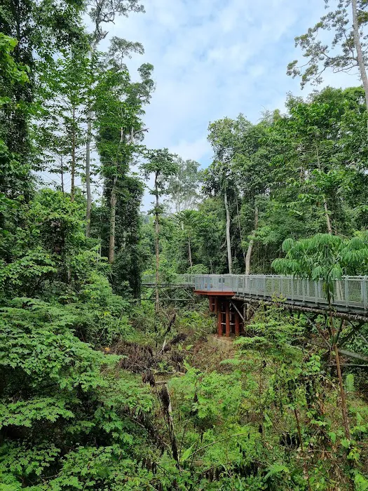 Tree Top Walk Picture 3