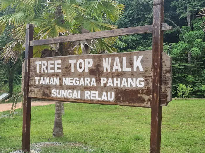 Tree Top Walk Picture 4