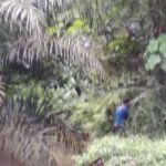 Hutan Lipur Terenggun