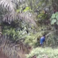 Hutan Lipur Terenggun ico