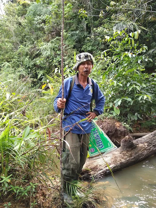 Hutan Lipur Terenggun Picture 4