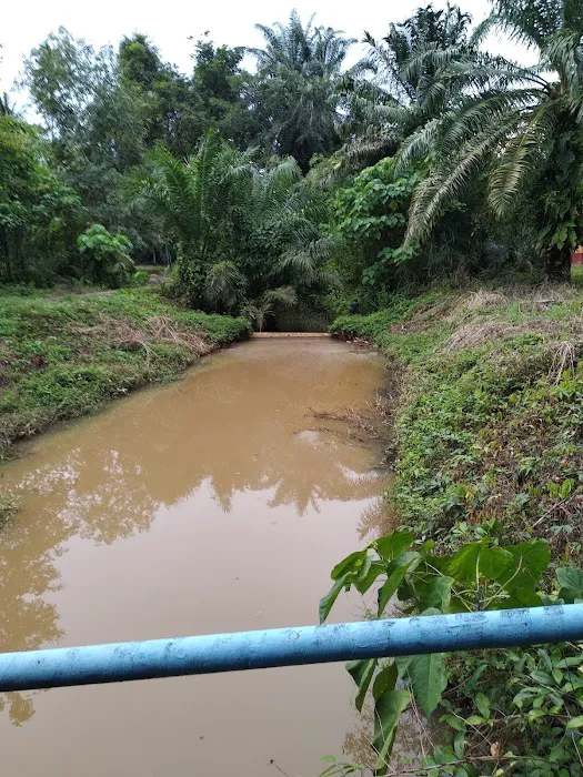 Hutan Lipur Terenggun Picture 5