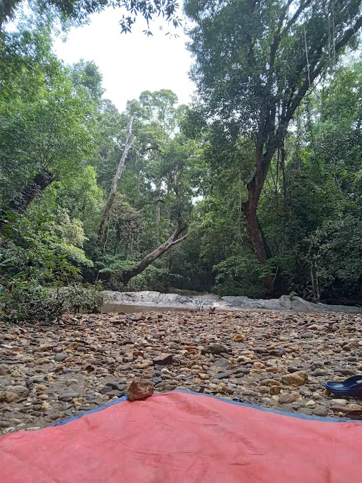 Lata Serigala Picture 4