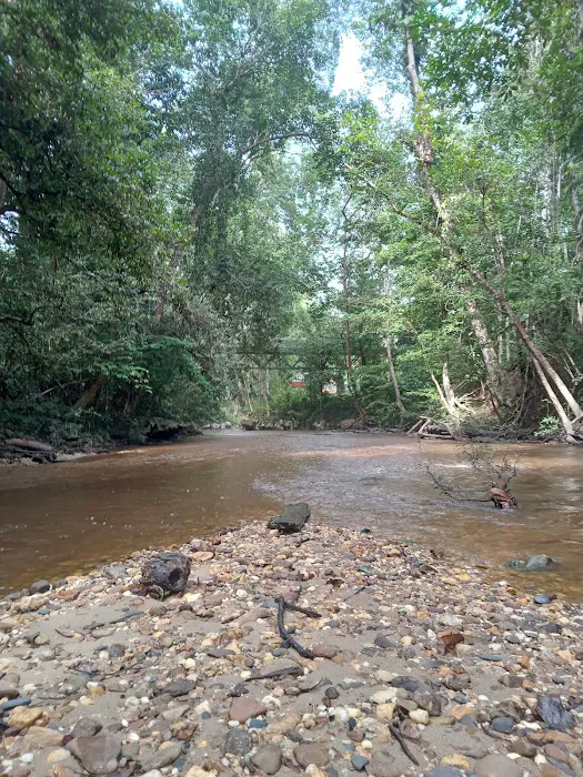 Lata Serigala Picture 1