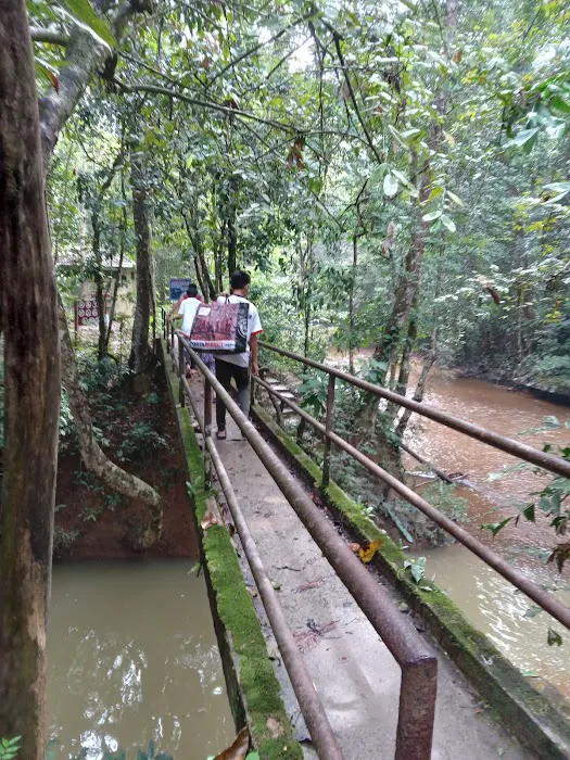 Lata Serigala Picture 2