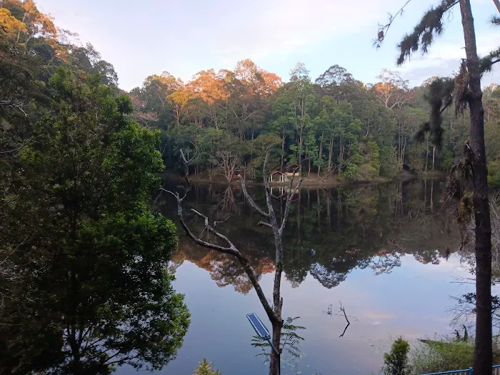 Taman Eko Rimba Terenggun Picture 1