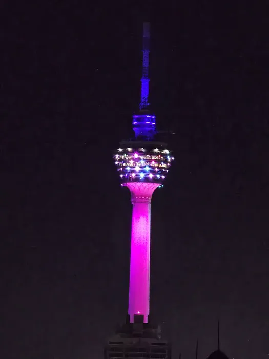 Bukit Tunku Night View Picture 2