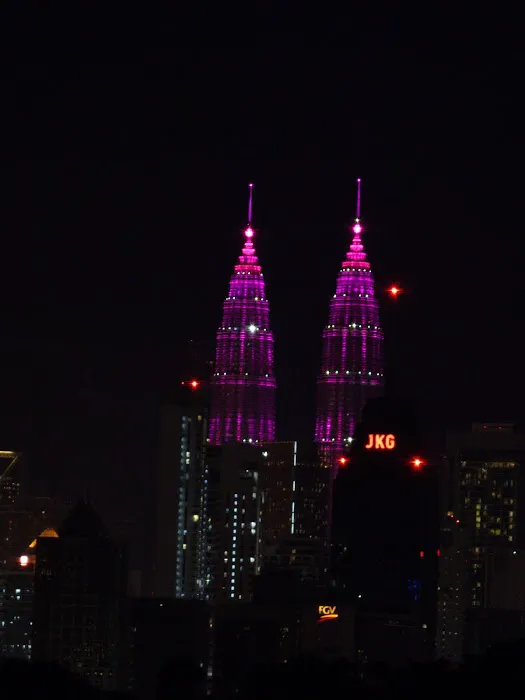 Bukit Tunku Night View Picture 3