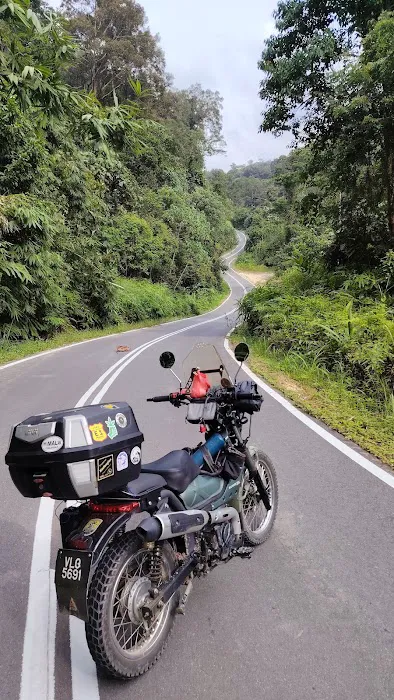 Curve No3 Malaysia Picture 1