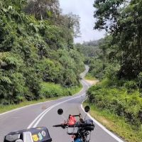 Curve No3 Malaysia ico