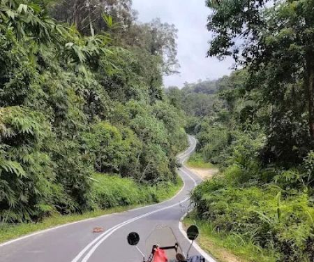 Curve No3 Malaysia