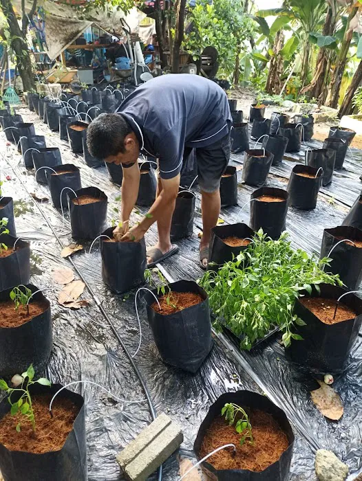 Mutiara Magna ROLPOP5 Community Garden Picture 2