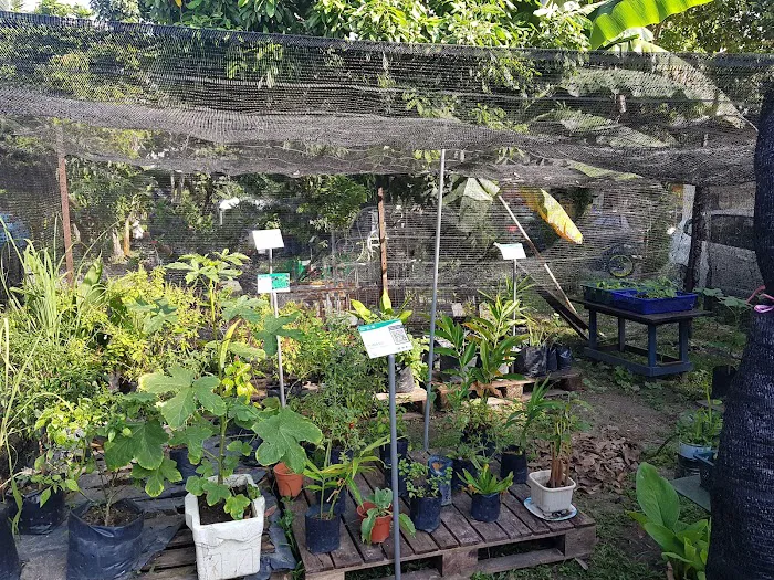 Mutiara Magna ROLPOP5 Community Garden Picture 3