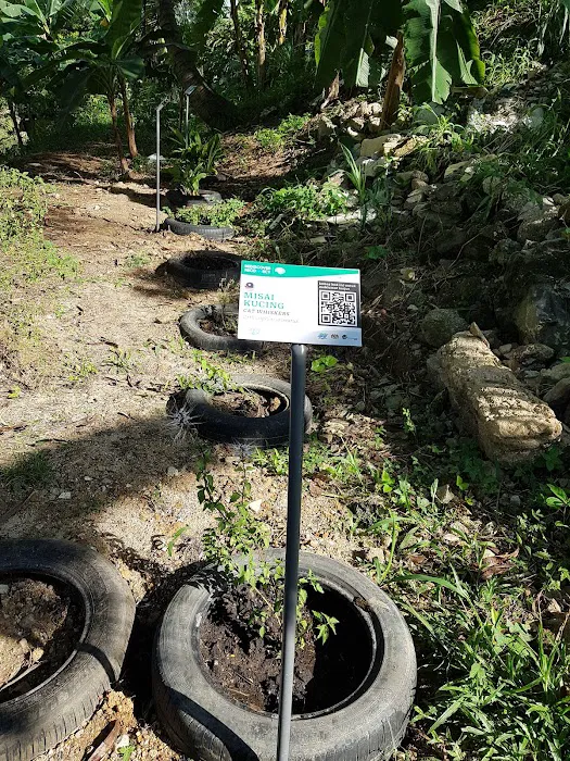 Mutiara Magna ROLPOP5 Community Garden Picture 4