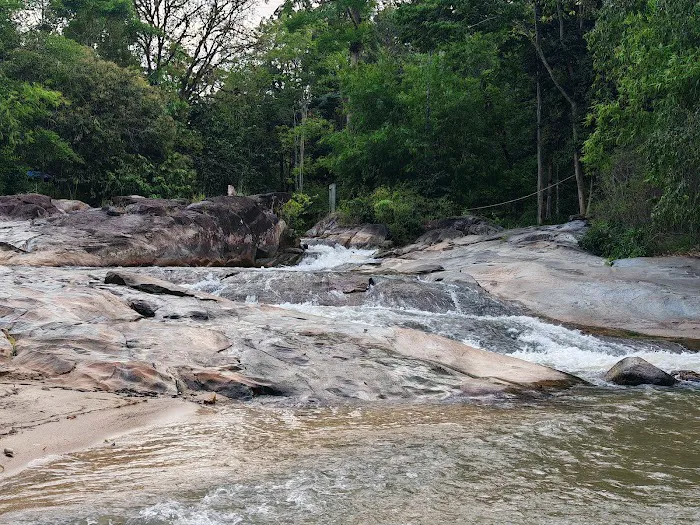 Lata Lembik Picture 1