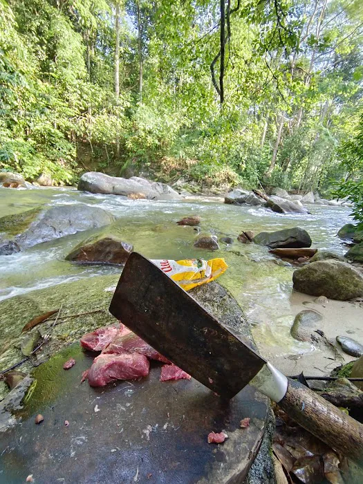 Lata Lembik Picture 3