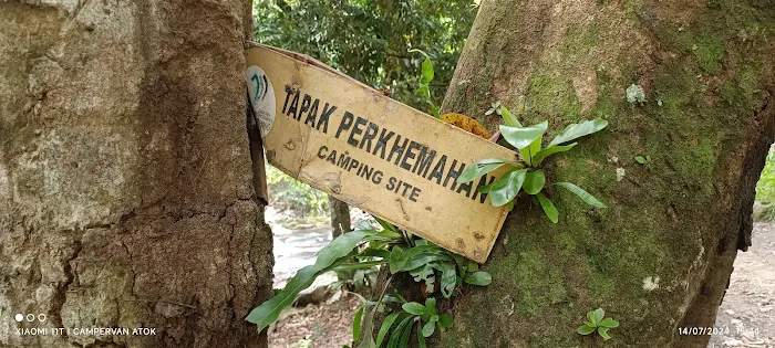 Lata Lembik Picture 2