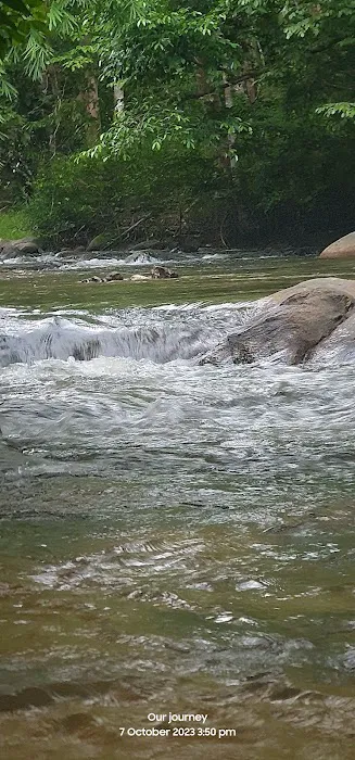 Lata Lembik Picture 10