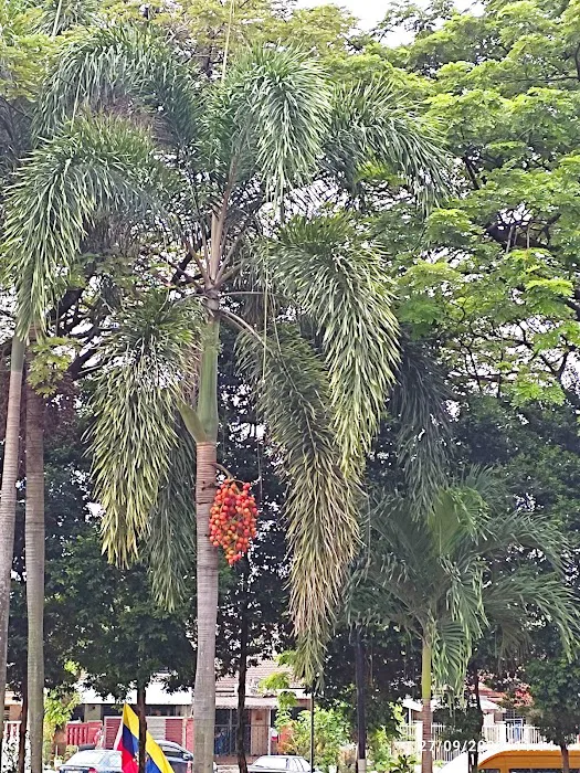 Taman Kejiranan Jalan Kuang Bulan, Kepong Picture 1