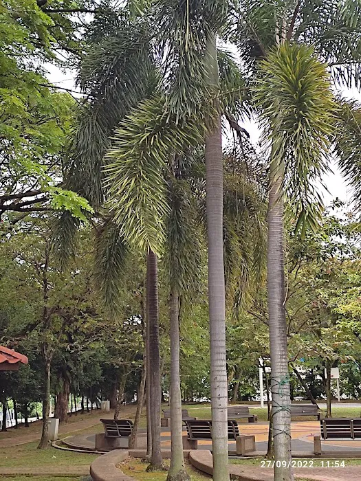 Taman Kejiranan Jalan Kuang Bulan, Kepong Picture 7