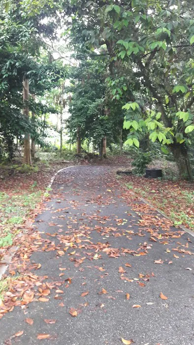 Taman Warisan FRIM Picture 3