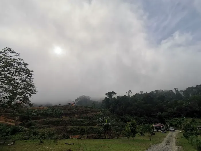Barau Hill Picture 3