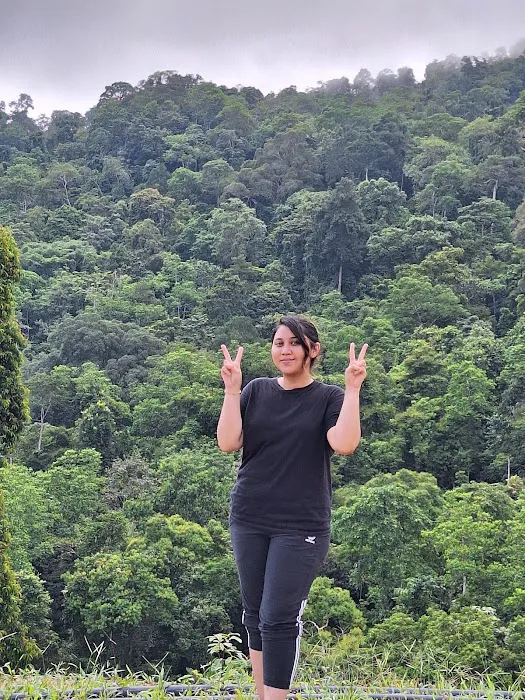 Barau Hill Picture 6