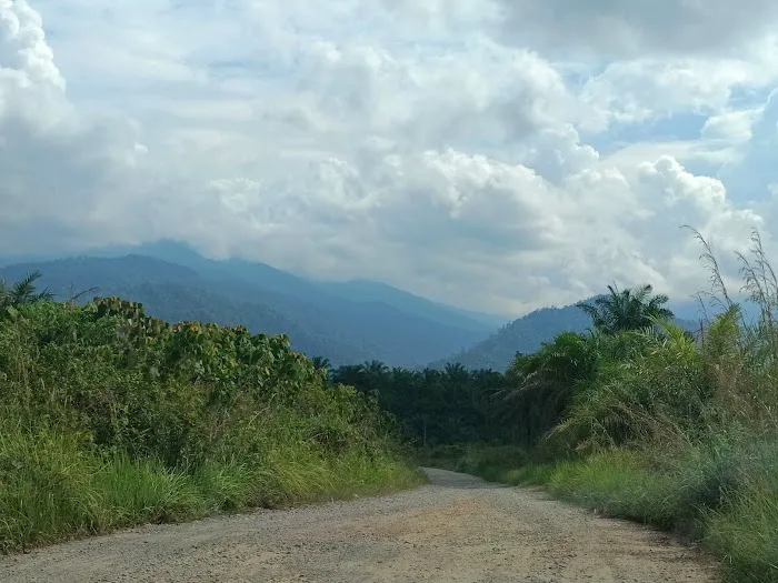 Sg Rengat Picture 3