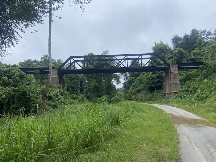 Railway bridge Picture 2