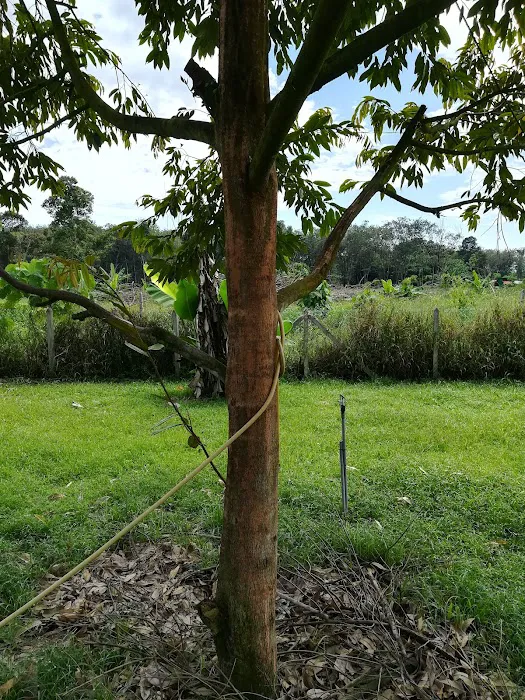 Taman Fadason Park Picture 6