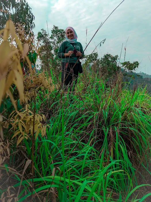 Bukit Botak Lurah Bilut Picture 5