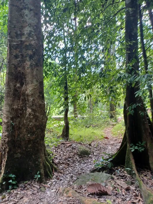 𝐴ir Terjun Bukit Telaga Pahang Picture 3