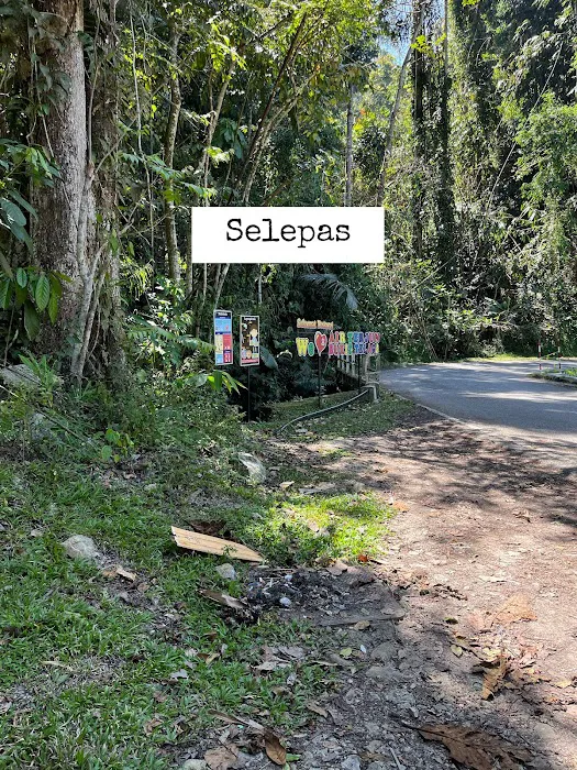 𝐴ir Terjun Bukit Telaga Pahang Picture 8