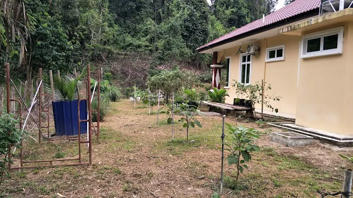 Masjid Kariah Kg. Temau Tengah Picture 1
