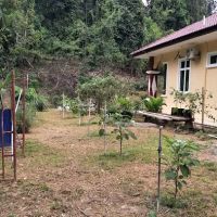 Masjid Kariah Kg. Temau Tengah ico