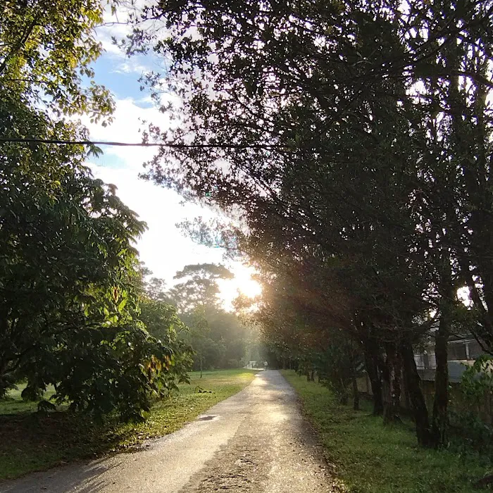Kepong Botanic Gardens | FRIM - Forest Research Institute Malaysia Picture 8