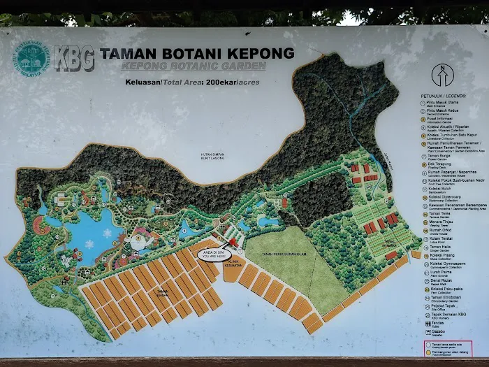 Kepong Botanic Gardens | FRIM - Forest Research Institute Malaysia Picture 10