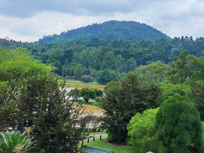 Kepong Botanic Gardens | FRIM - Forest Research Institute Malaysia Picture 4