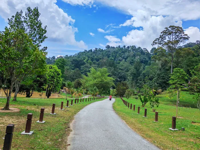 Kepong Botanic Gardens | FRIM - Forest Research Institute Malaysia Picture 2