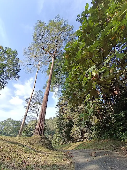 Kepong Botanic Gardens | FRIM - Forest Research Institute Malaysia Picture 6