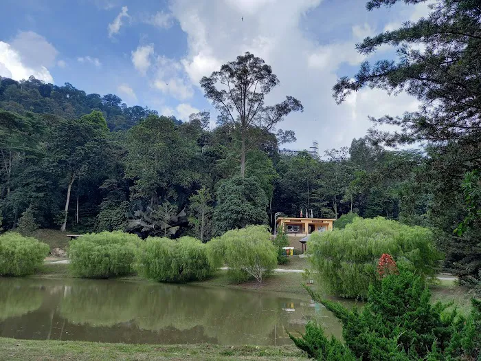 Kepong Botanic Gardens | FRIM - Forest Research Institute Malaysia Picture 5