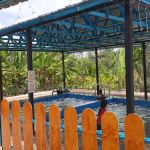 Tokwan Agro Homestay