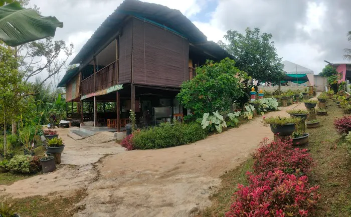 Tokwan Agro Homestay Picture 2