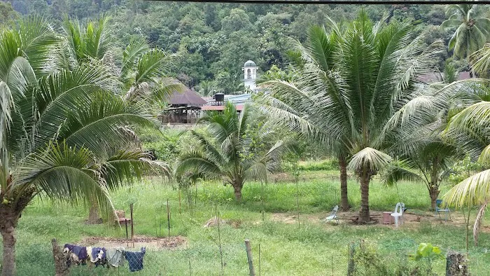 Lembing Court Resort Picture 4