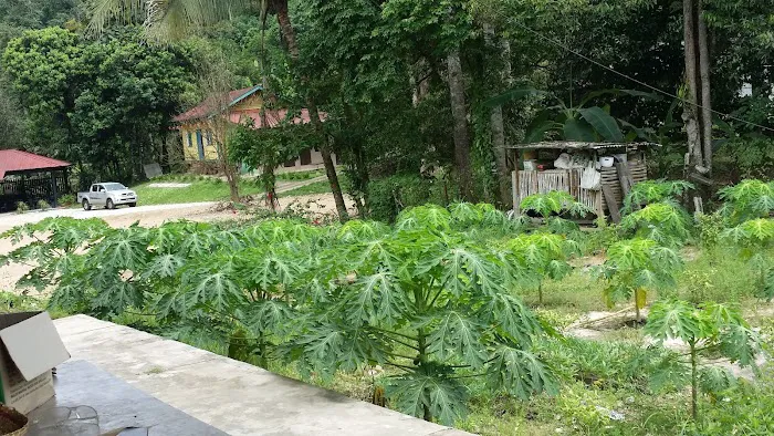 Lembing Court Resort Picture 10