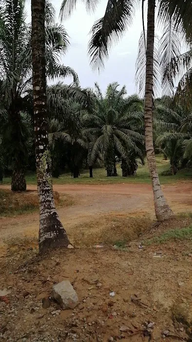 Asrama D Ladang Felda Bkt Sagu 8 Picture 1