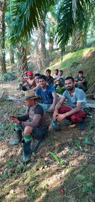 Asrama D Ladang Felda Bkt Sagu 8 Picture 4